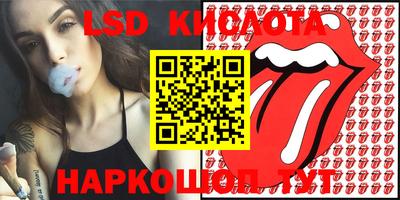 шишки Краснокаменск