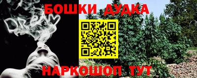 шишки Краснодар