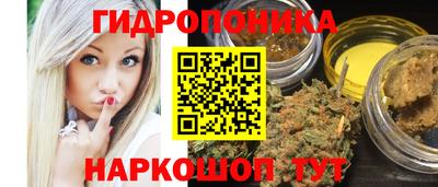 шишки Краснодар