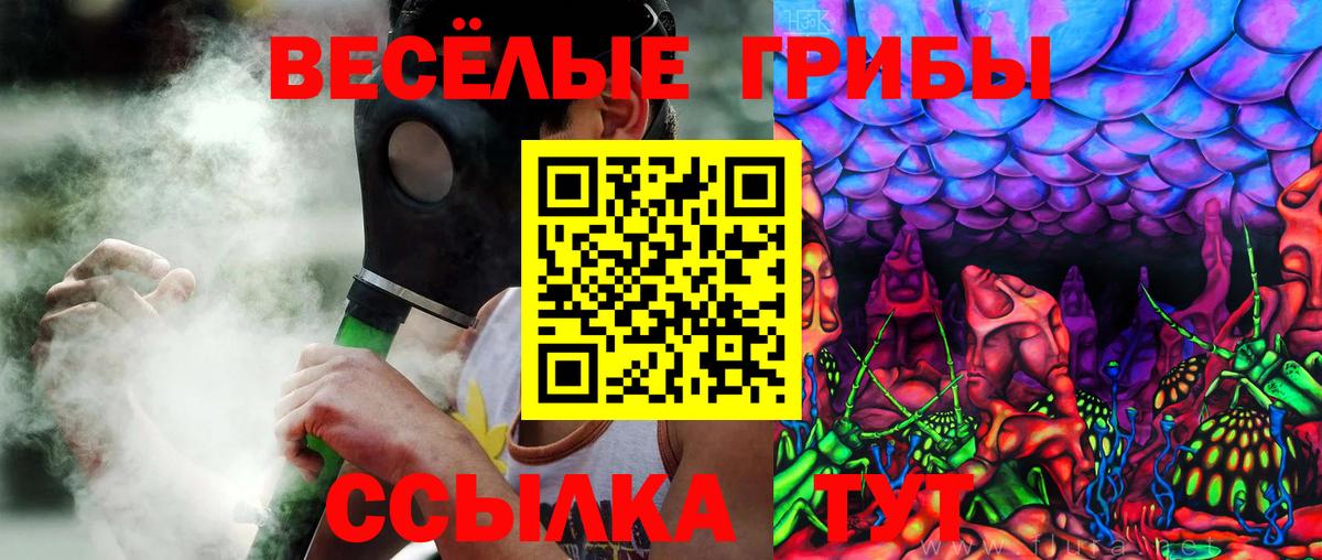 что такое наркотик  Вход с VPN  Каменка  Псилоцибиновые грибы ЛСД 
